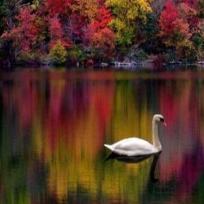 Photo de Robert BOURGEOIS