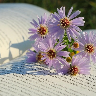 Photo de Sophie BAUDIN