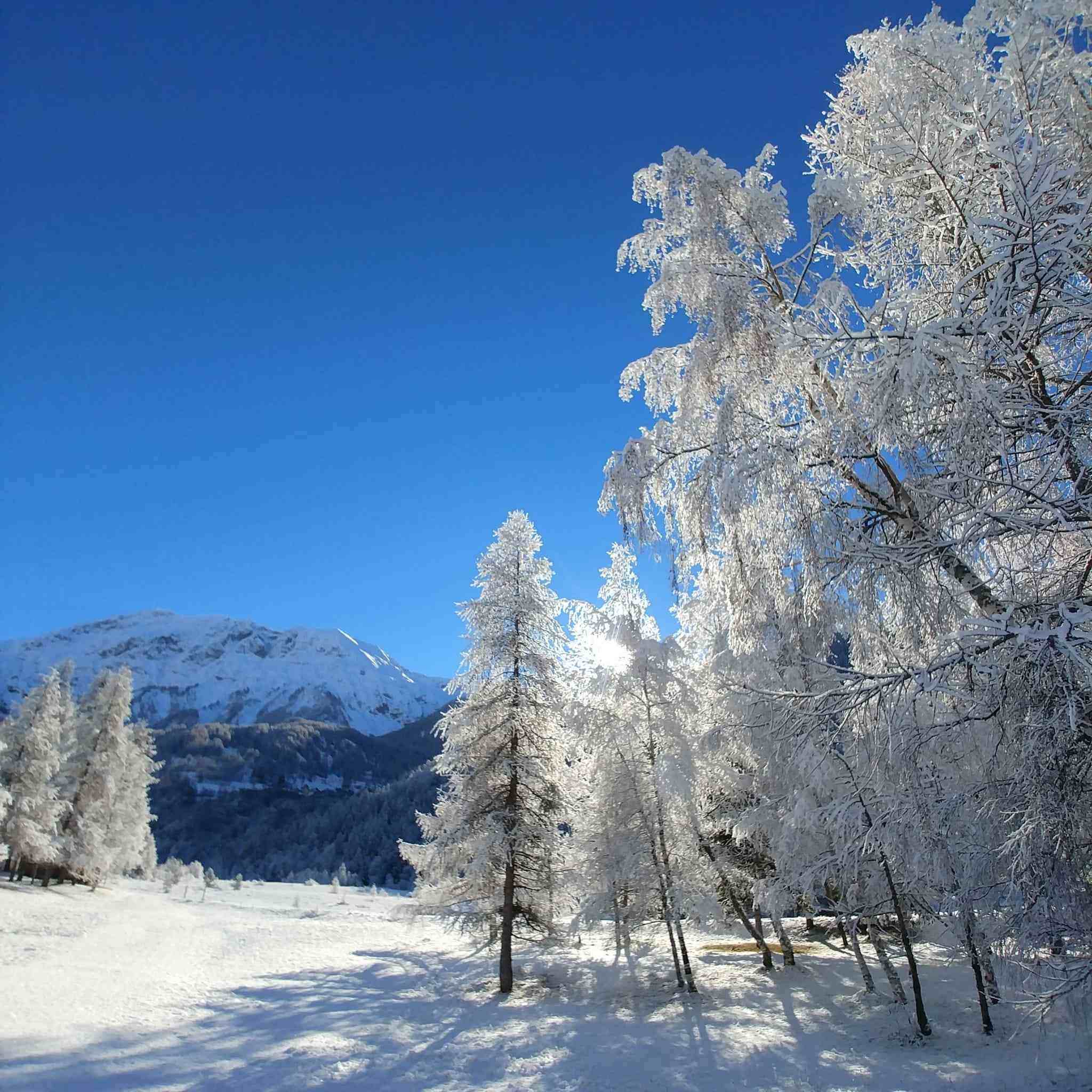 Photo de Romain WOLF