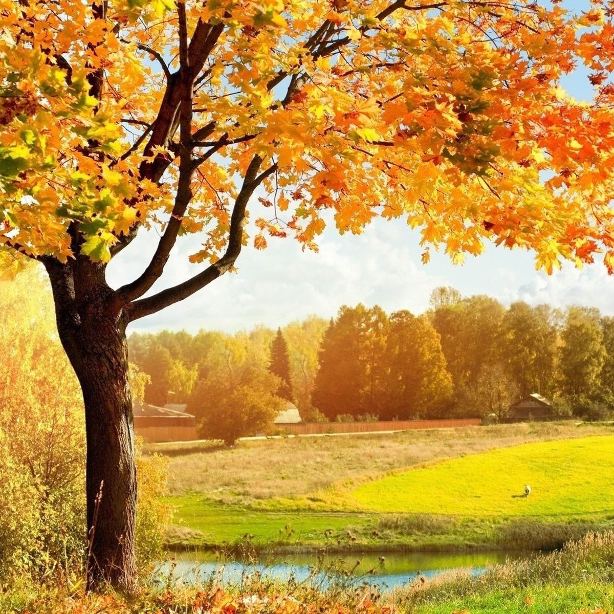 Photo de Gabriel BOILLON