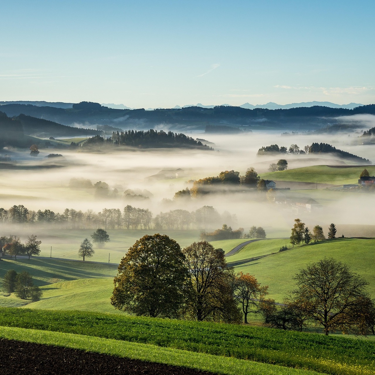 Photo de Daniel LESCOFFIT