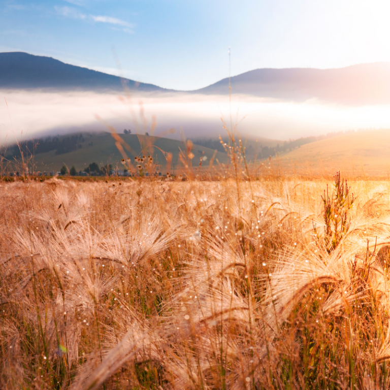 Photo d’Anne-Marie BLANCHOT