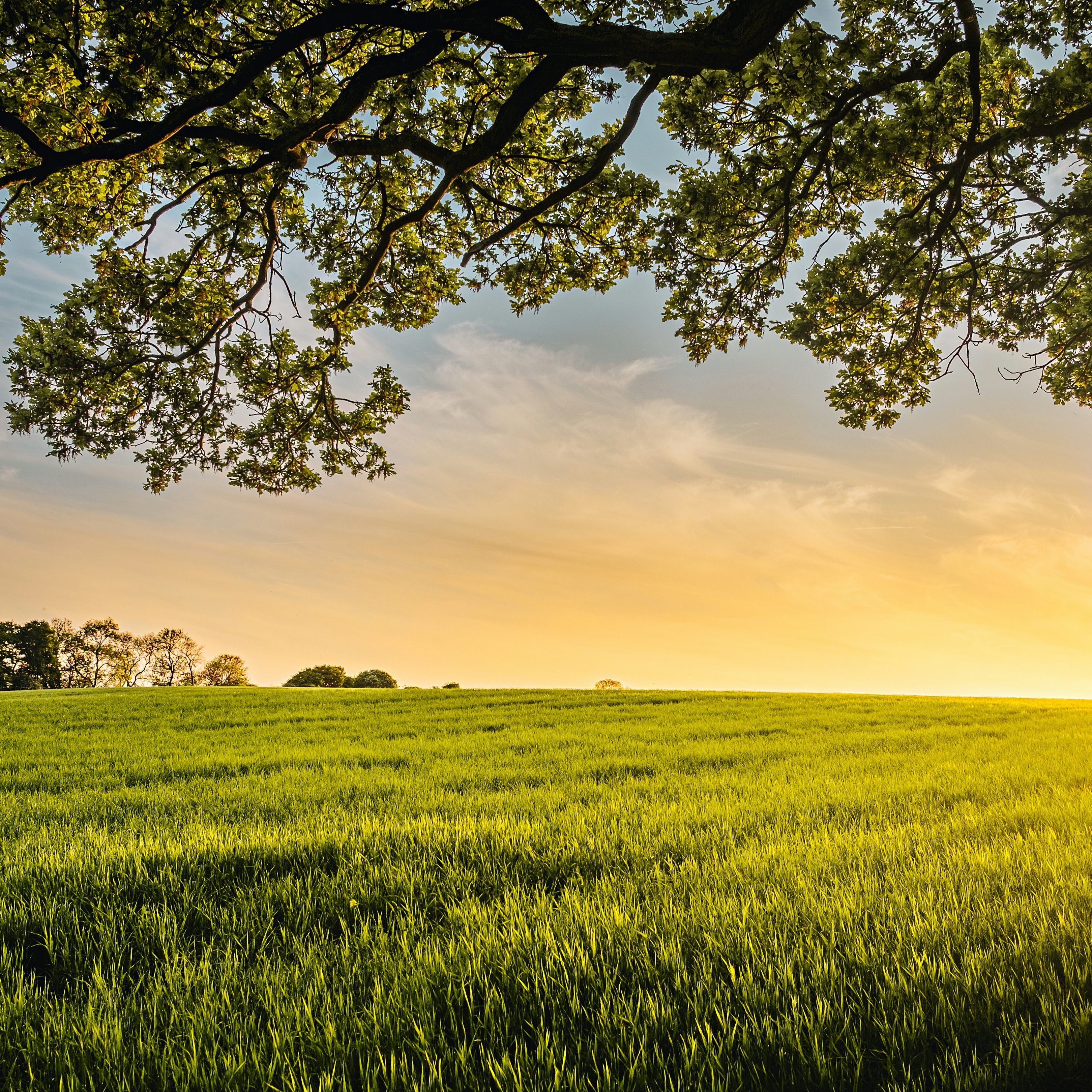 Photo de Clément GERMAIN