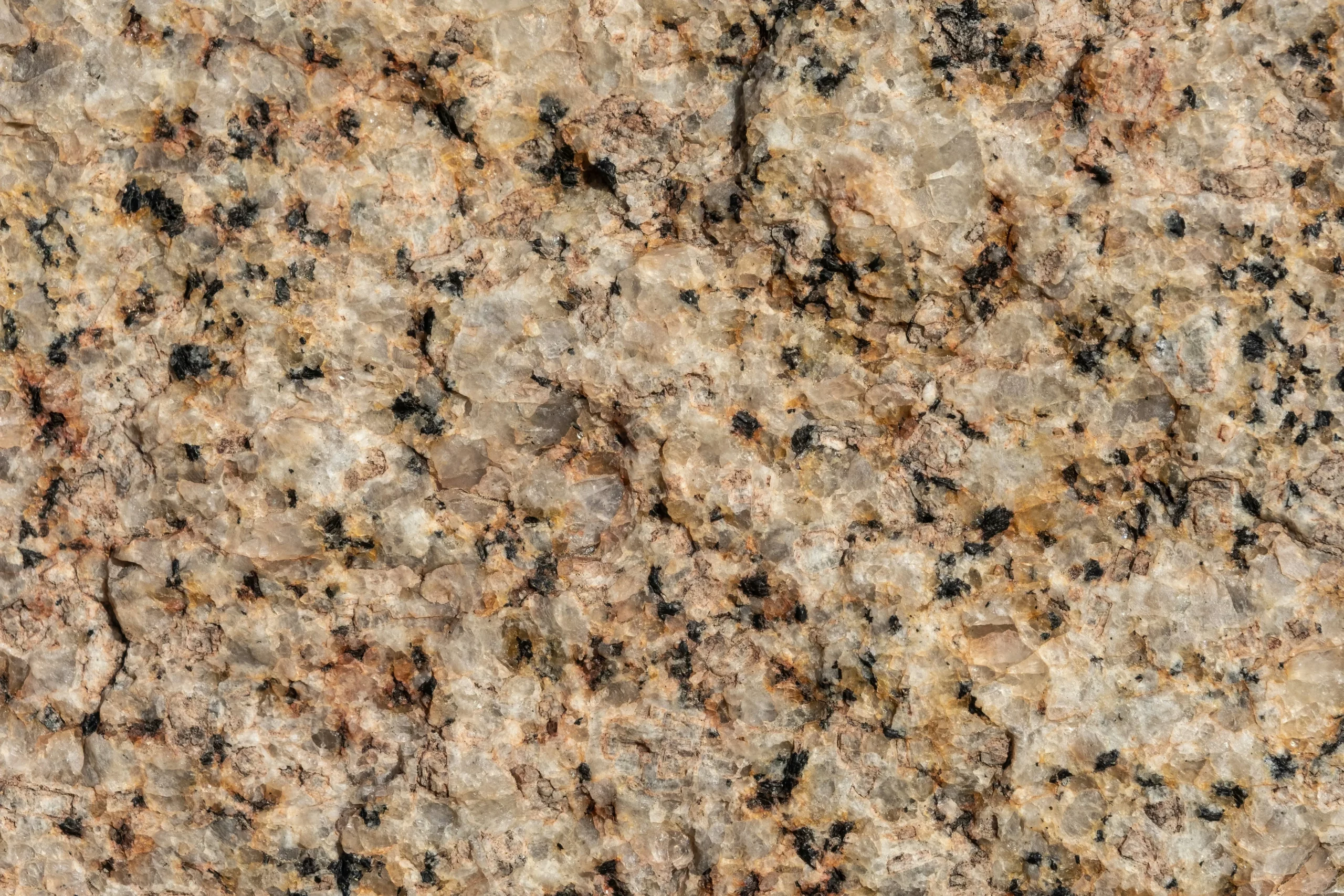 Gros plan sur la texture naturelle d'une pierre de granit brut beige et noir.